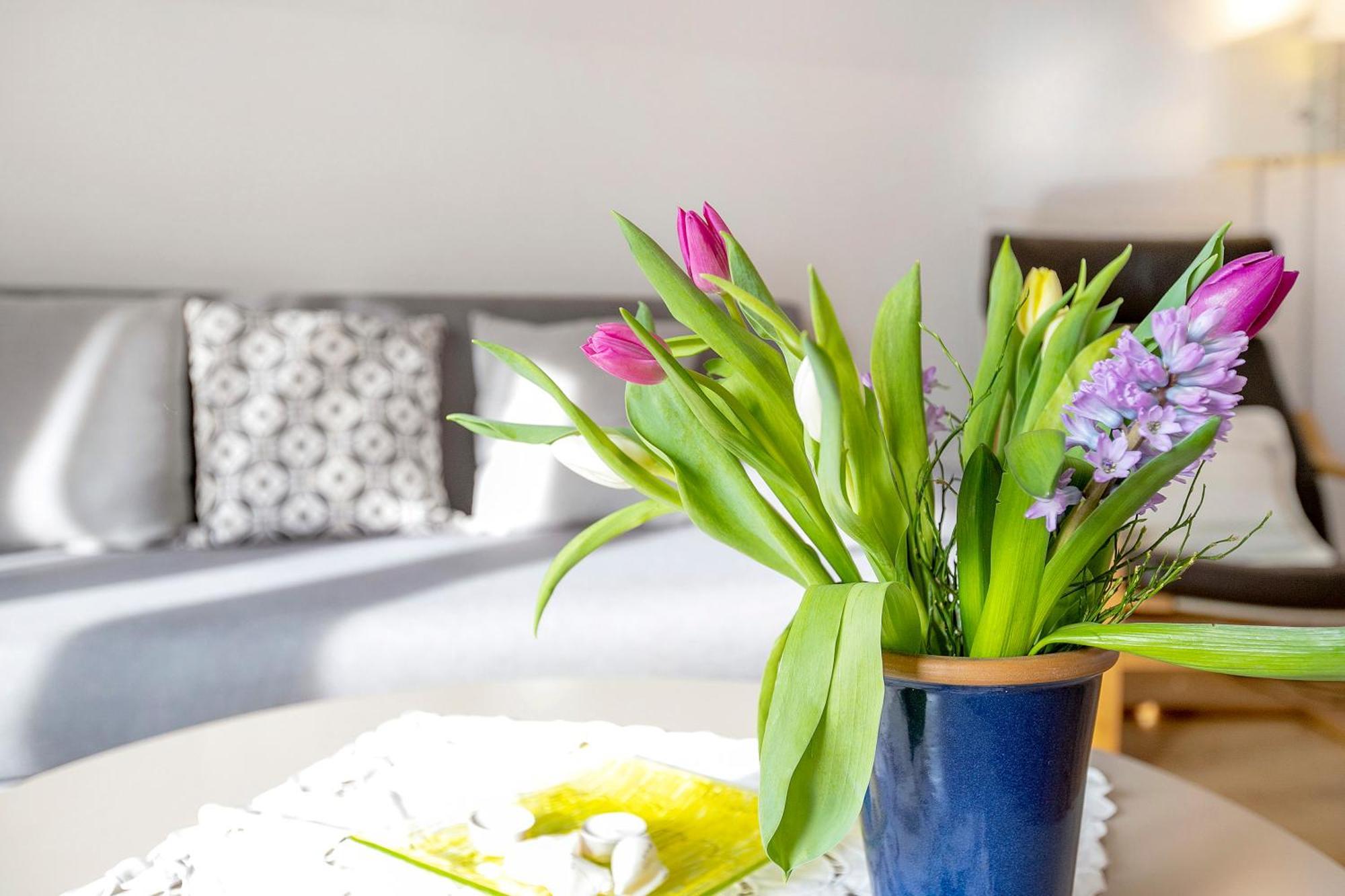 Ferienwohnung Kappeln - Kiekut 11 Dış mekan fotoğraf